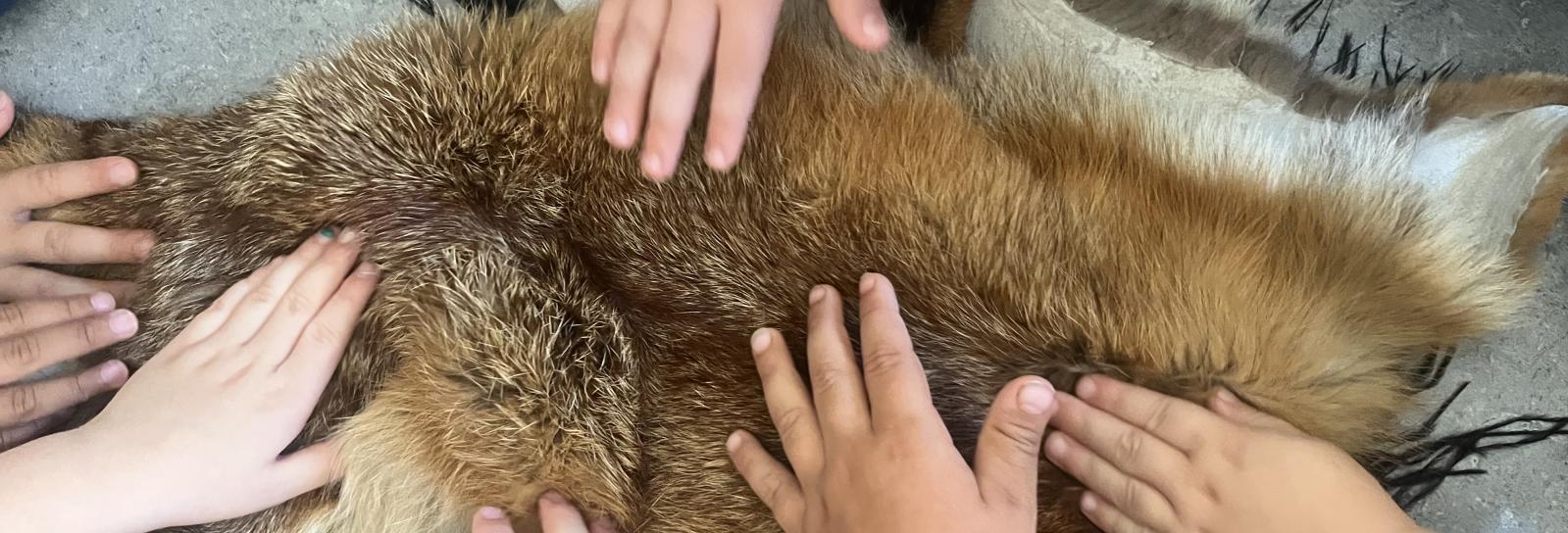 Børnehænder på blød rævepels