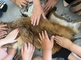 Børnehænder på blød rævepels